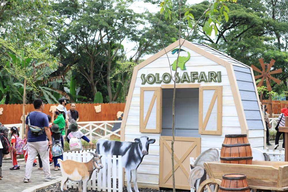 Solo Safari